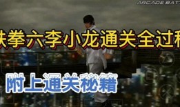 海哥家庭爆料视频,揭秘明星家庭生活点滴