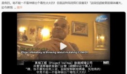 美国辉瑞高管爆料视频,揭秘疫苗研发与市场策略内幕